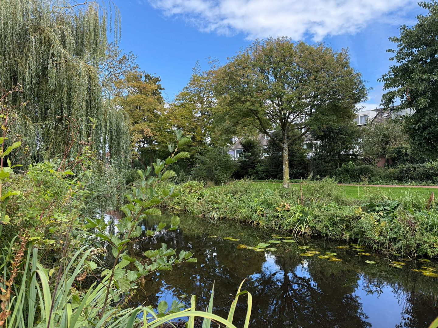 Photo 25 of Beemdgras 42