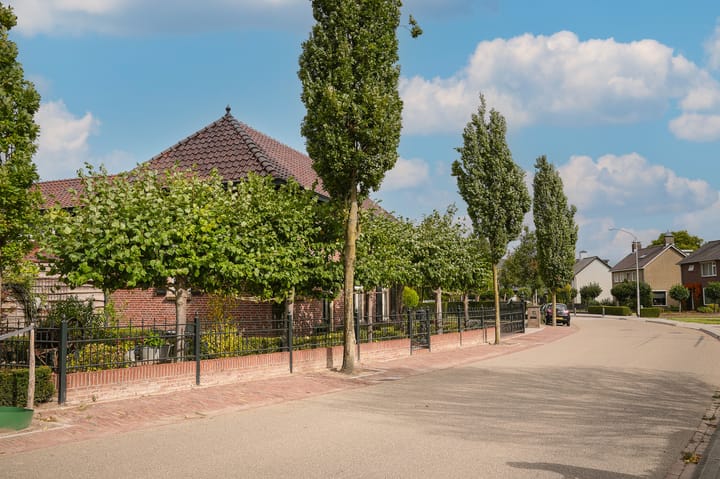 Foto 50 van Rooijsestraat 103-A