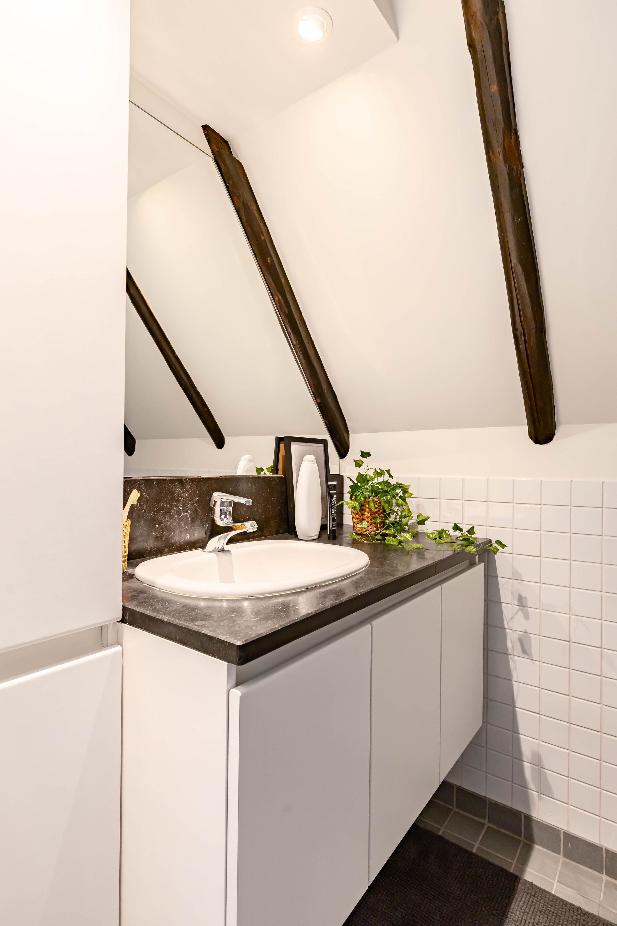 Foto 42 van Apoortenmolendrift 2