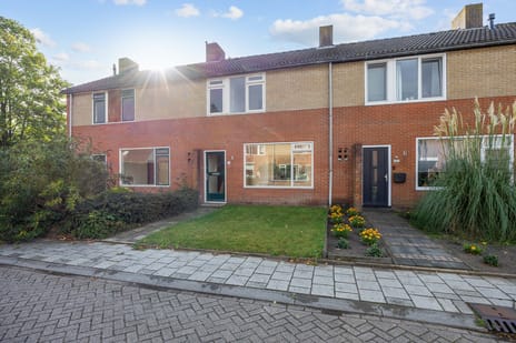 undefined main image