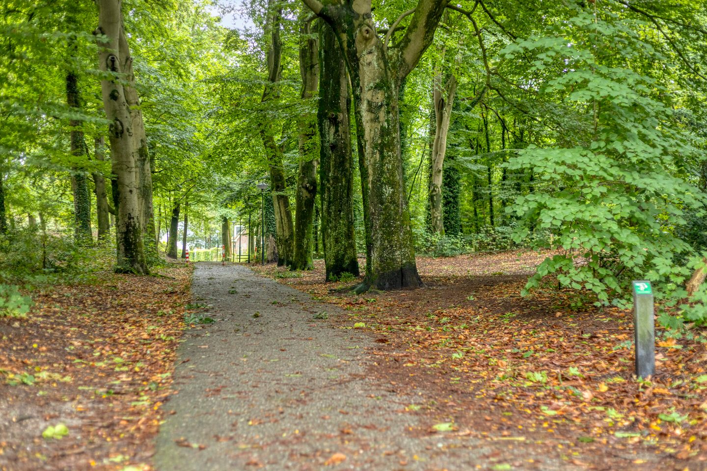 Foto 25 van Everard Meysterweg 57-C