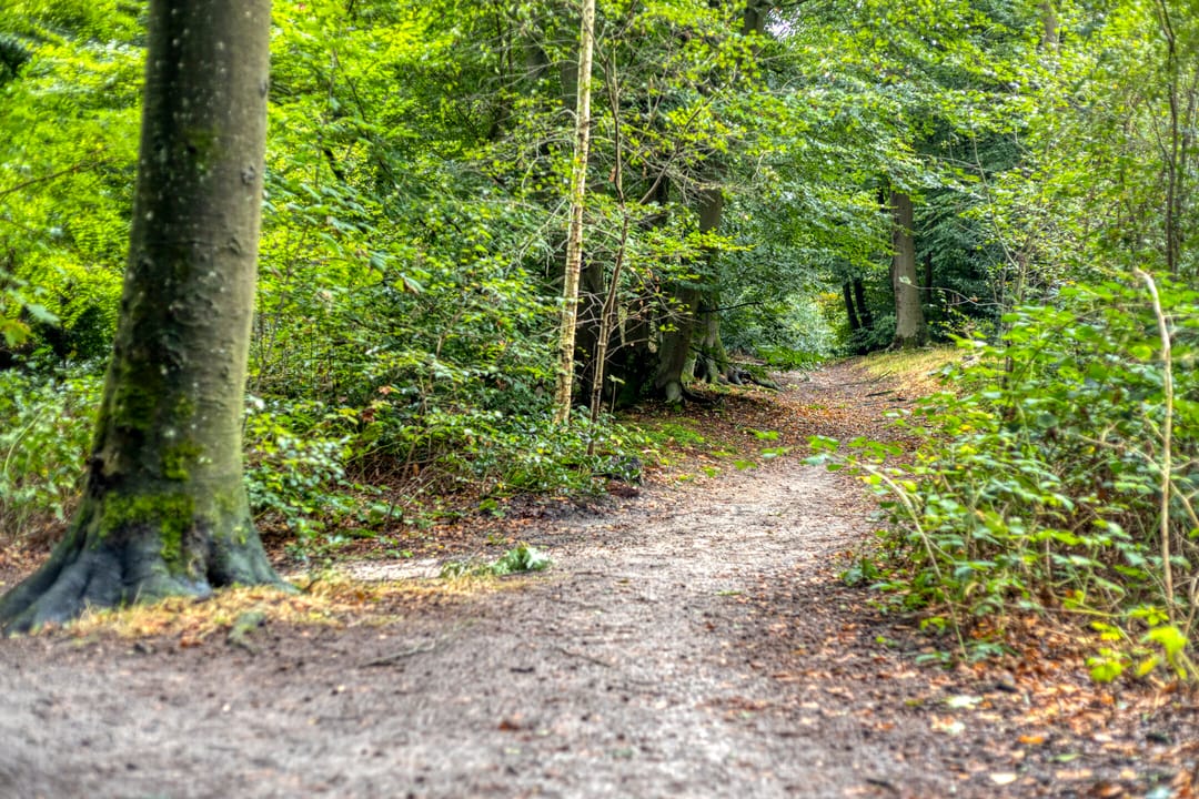 Foto 26 van Everard Meysterweg 57-C