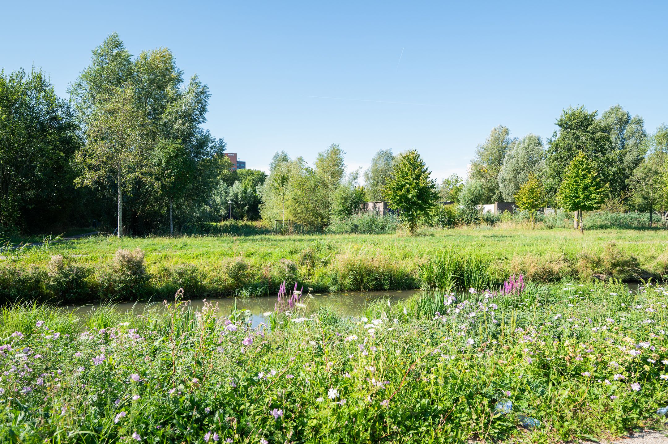 Foto 33 van Vlechtdraadhof 16