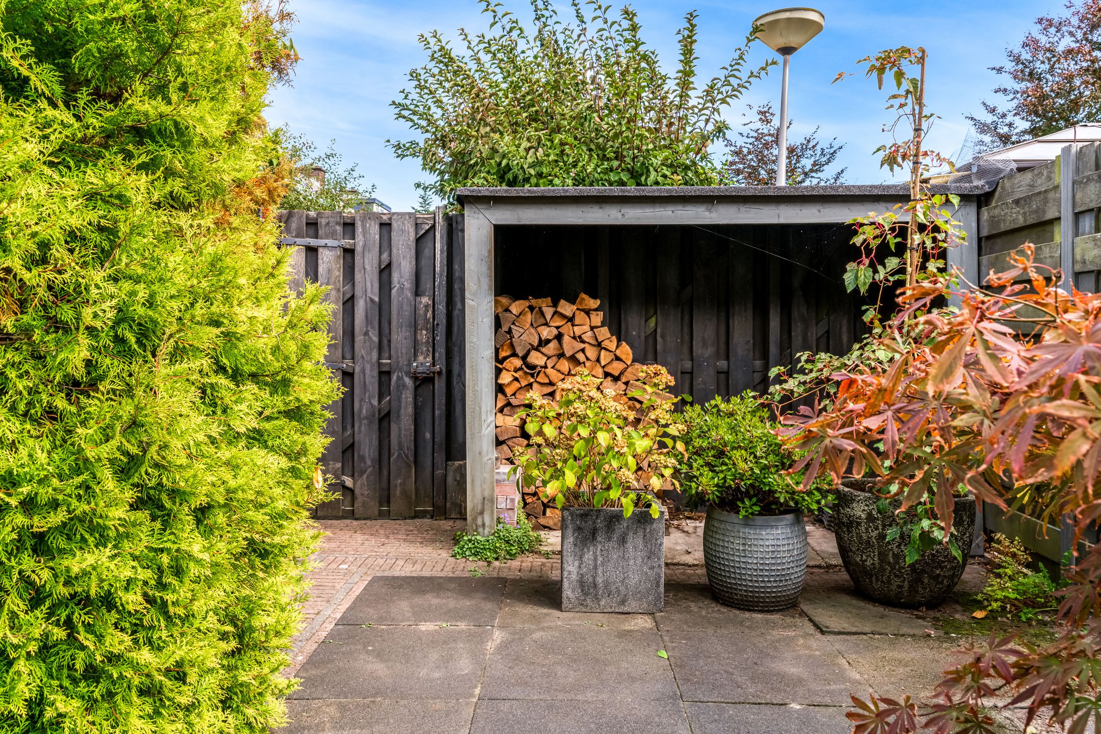 Photo 42 of Willem de Zwijgerlaan 35