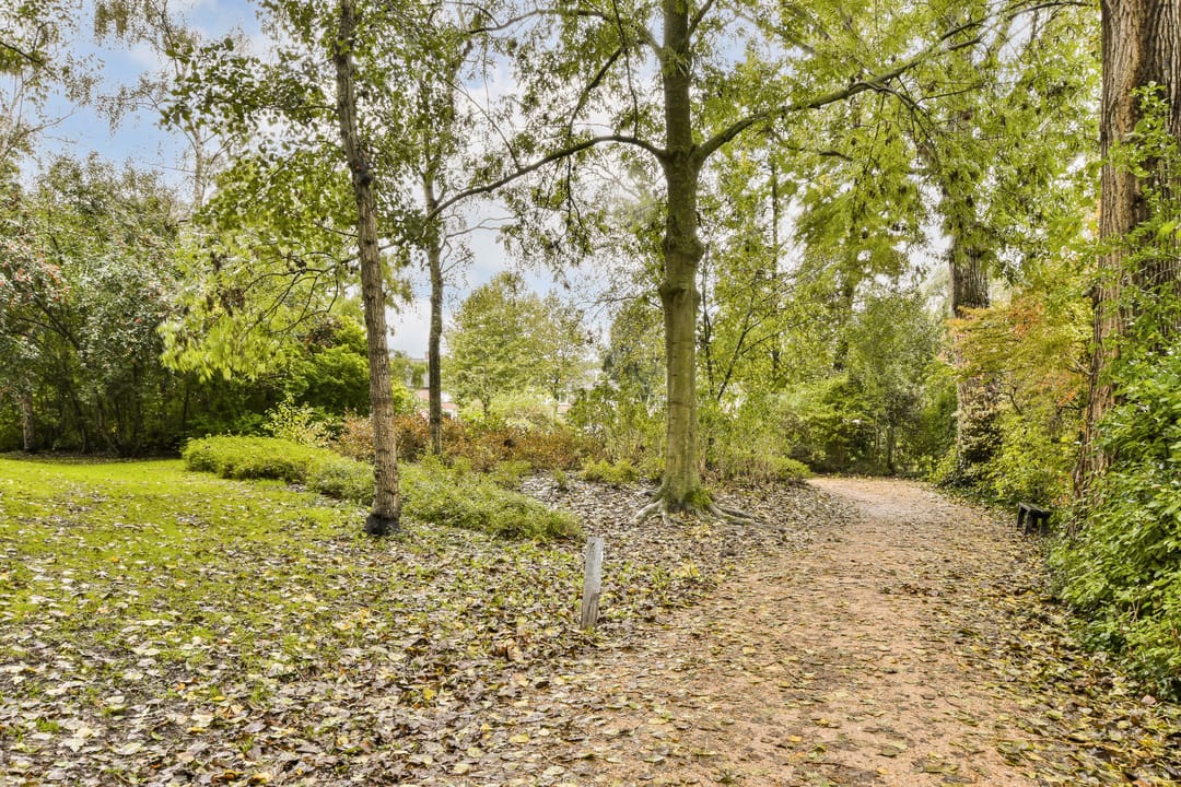 Foto 43 van Anne Frankstraat 20