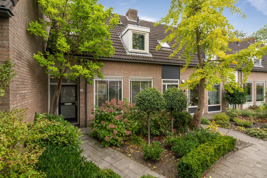 Foto 1 van Merel 24