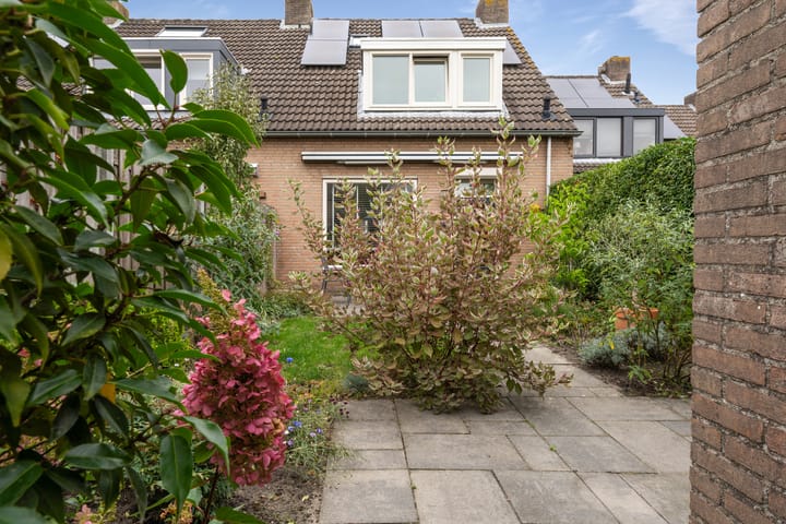 Foto 47 van Merel 24