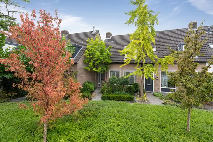 Foto 49 van Merel 24