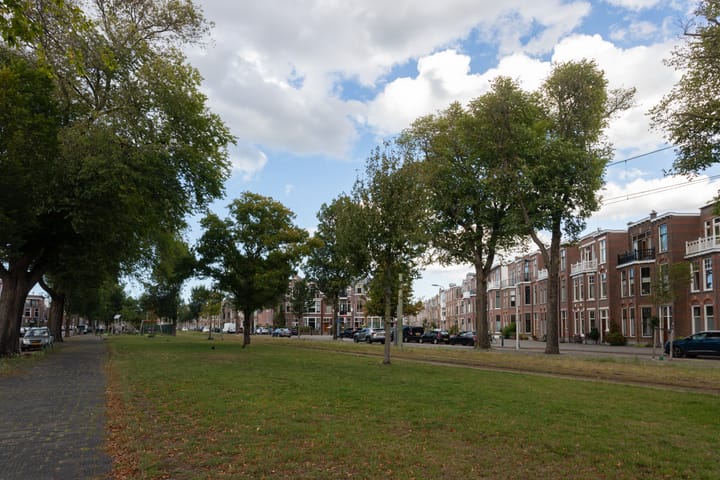 Foto 39 van Van Boetzelaerlaan 152