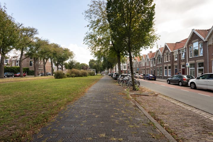 Foto 40 van Van Boetzelaerlaan 152