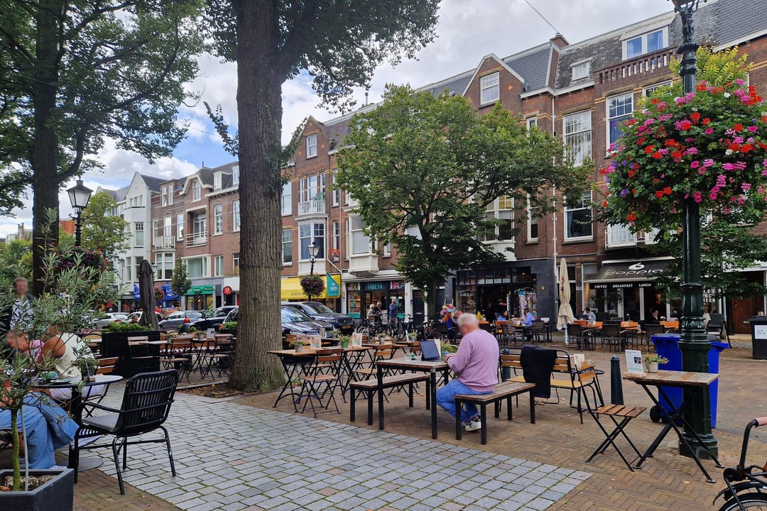 Foto 46 van Van Boetzelaerlaan 152