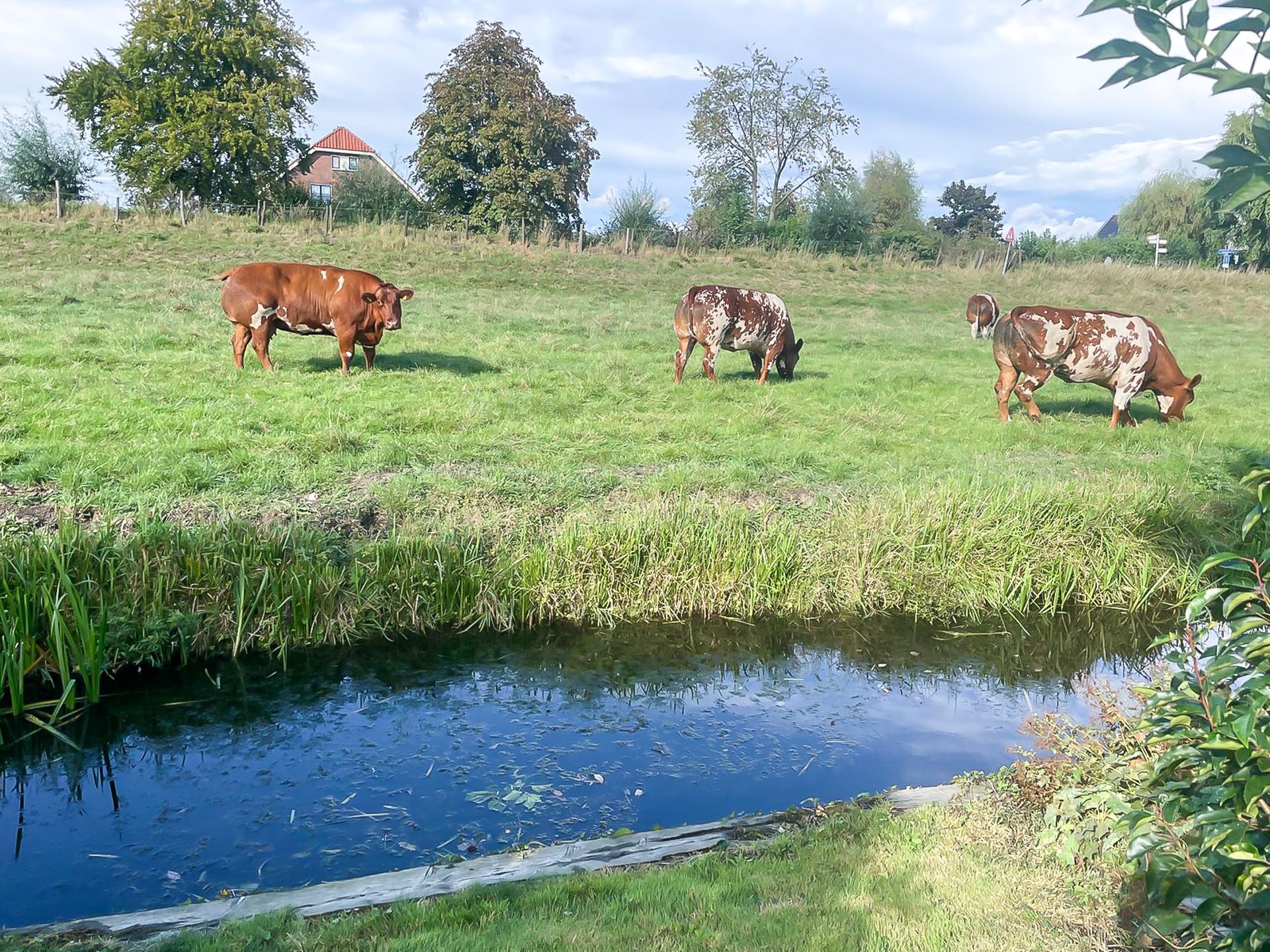 Foto 45 van Gerberastraat 16