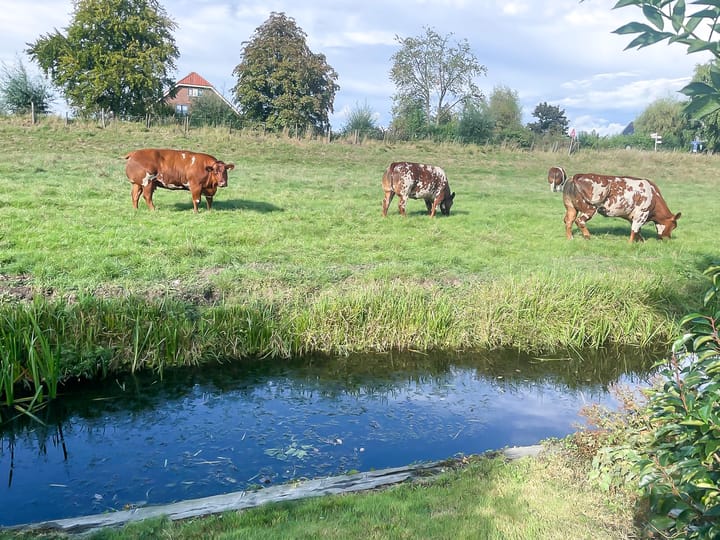 Foto 45 van Gerberastraat 16