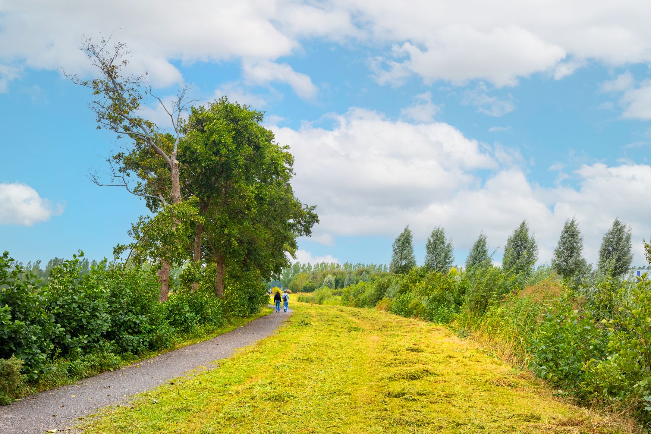 Foto 48 van Frederik van Eedenstraat 28