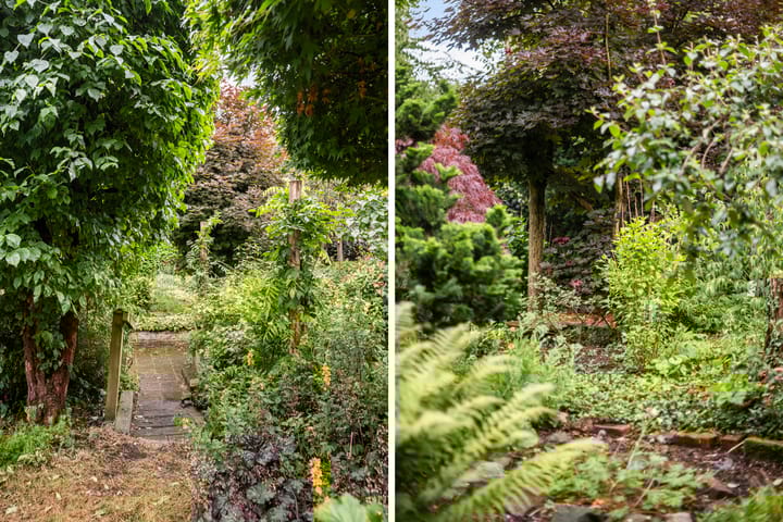 Foto 33 van Molenkreek 9