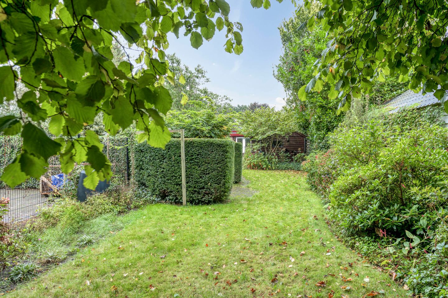 Foto 4 van Koningin Wilhelminaweg 17