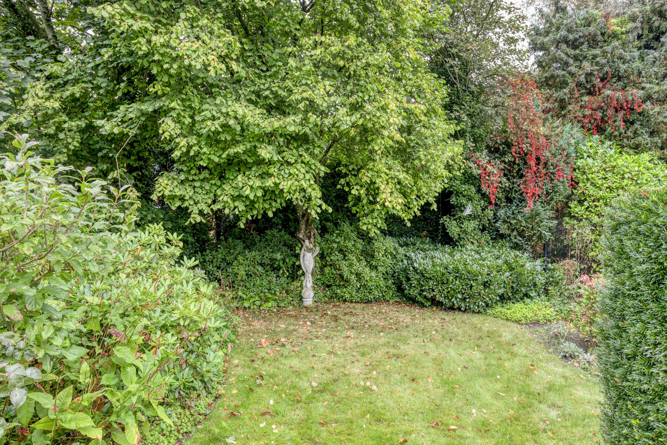 Foto 30 van Koningin Wilhelminaweg 17