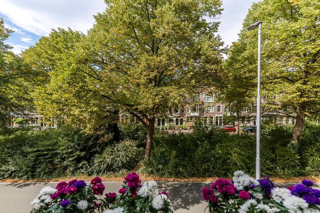 Foto 23 van Bergselaan 154-B