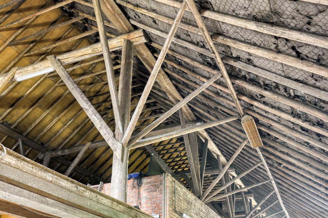 Foto 52 van Borgercompagnie 59