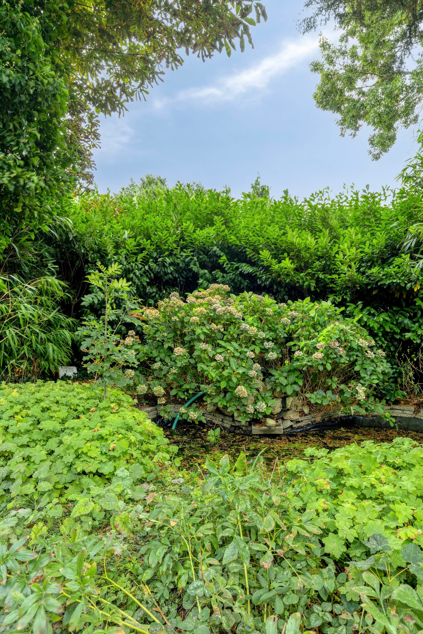 Foto 59 van Borgercompagnie 59