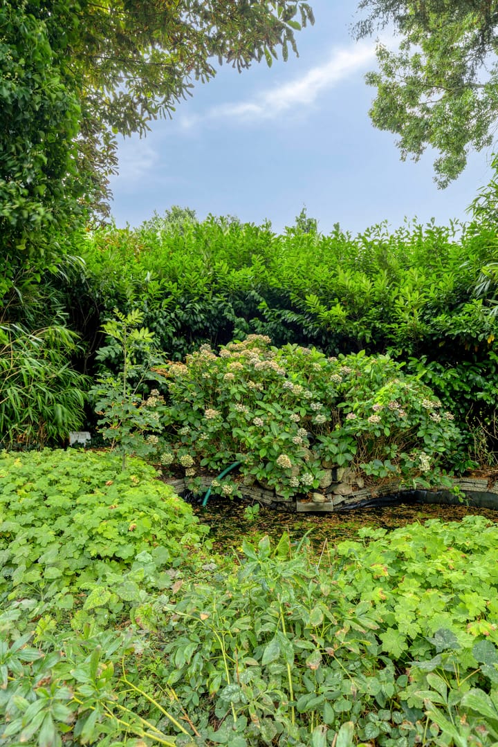 Foto 59 van Borgercompagnie 59