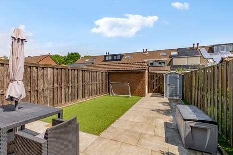 Beemster 31 tertiary image