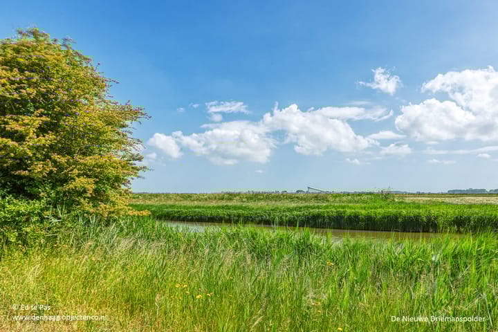 Foto 38 van Waterspinhof 36