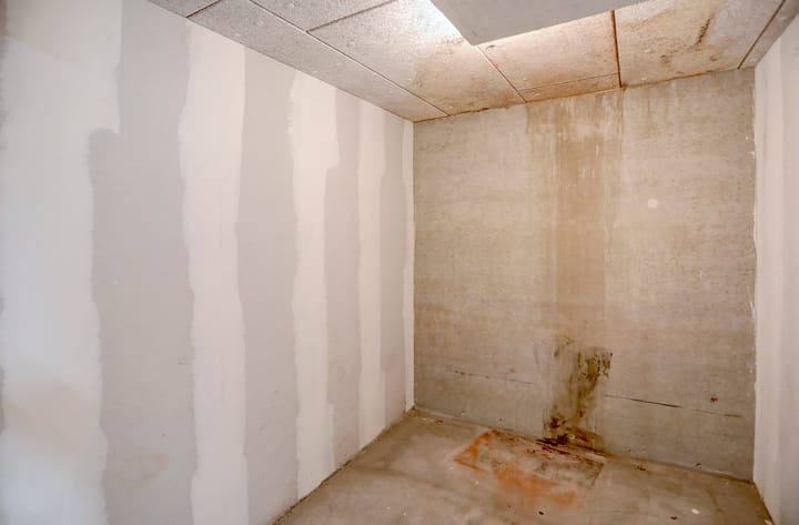 Foto 17 van IJsvogelpassage 18