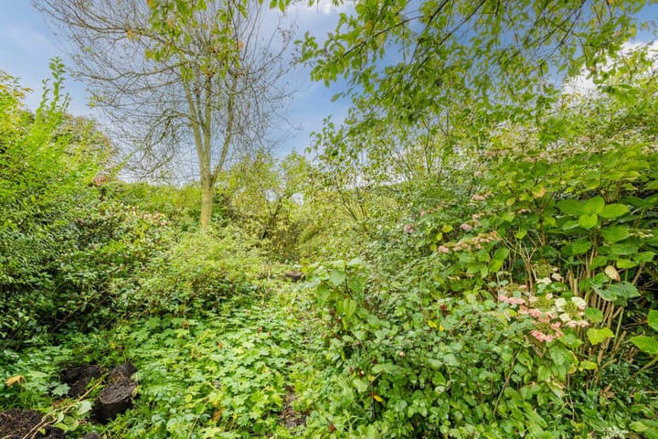 Foto 3 van Ossendrechtseweg 6