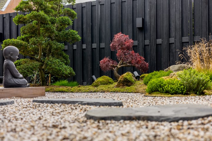 Foto 48 van Klipfontein 37