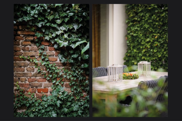 Photo 41 of Aart Robberstraat 7