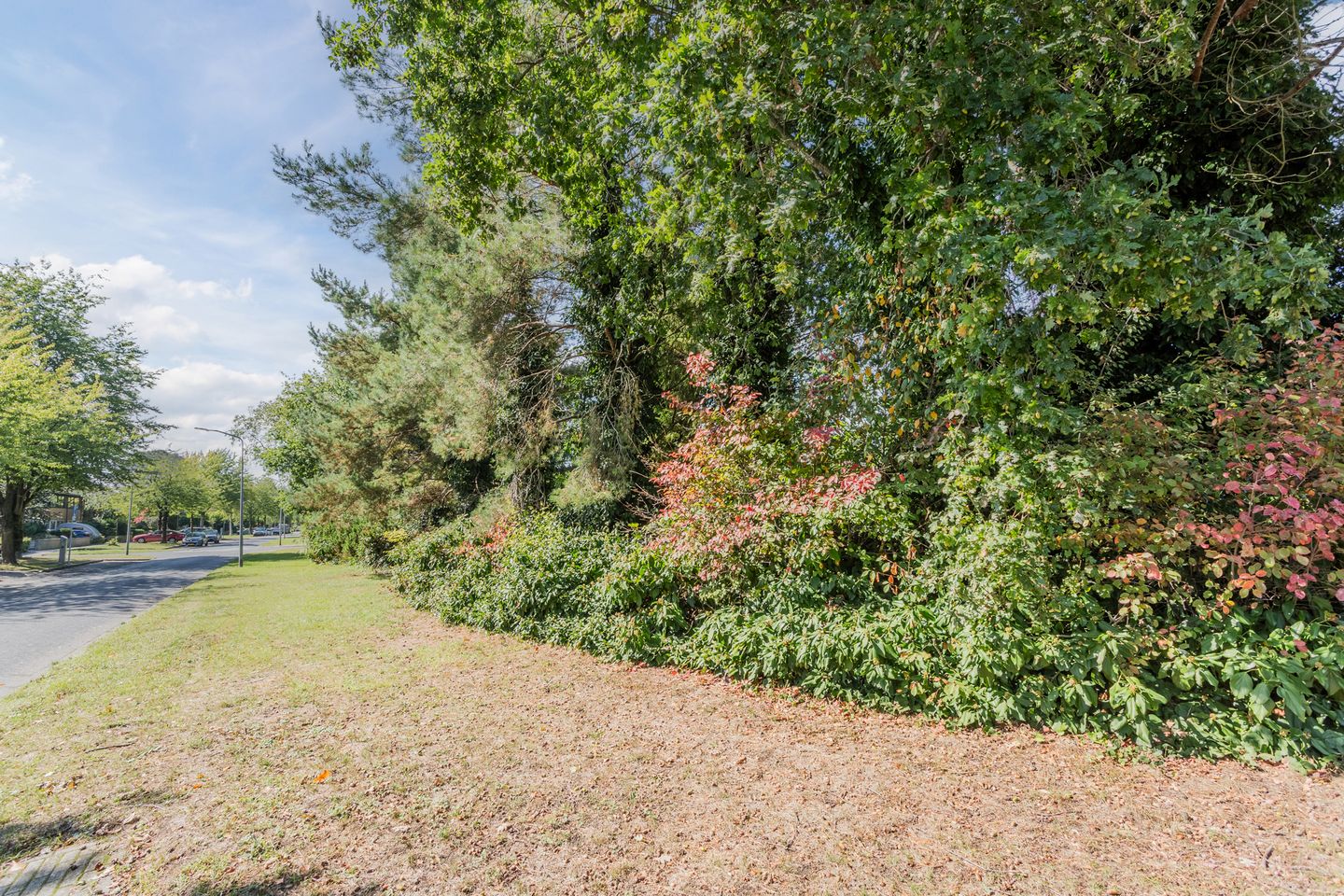 Foto 29 van Januaristraat 65