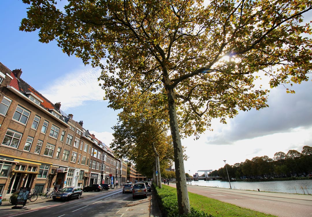 Foto 23 van Aelbrechtskade 11-B