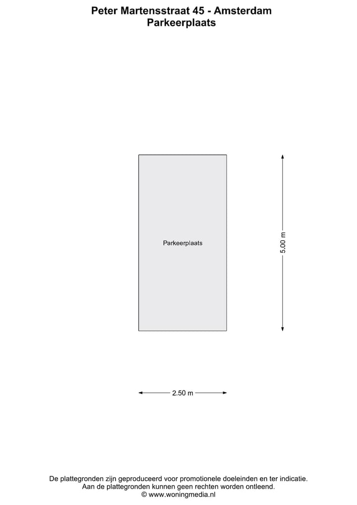 Foto 37 van Peter Martensstraat 45