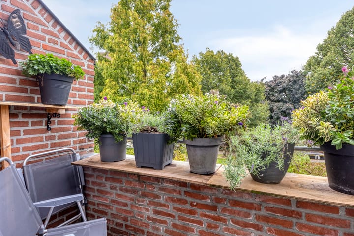 Foto 19 van Ovidiushof 1-B