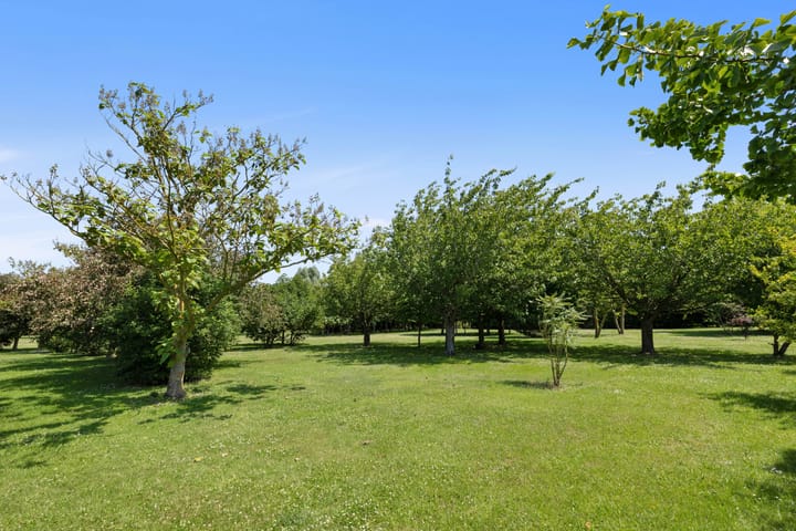 Photo 40 of Torenweg 21