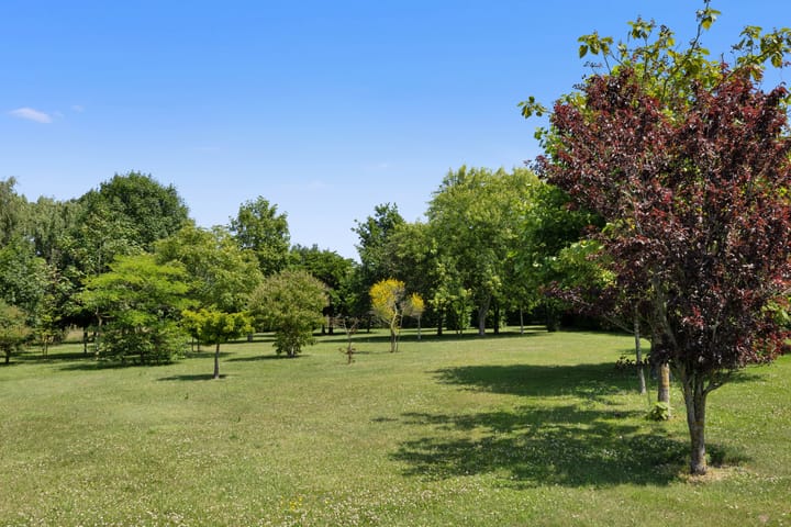 Photo 43 of Torenweg 21