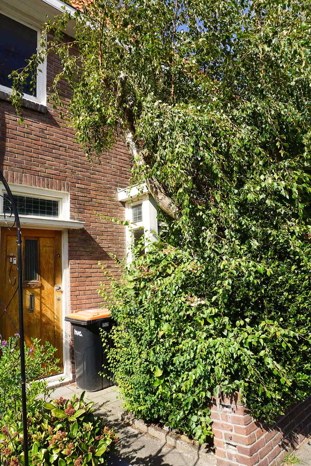 Foto 21 van Gladiolenstraat 6