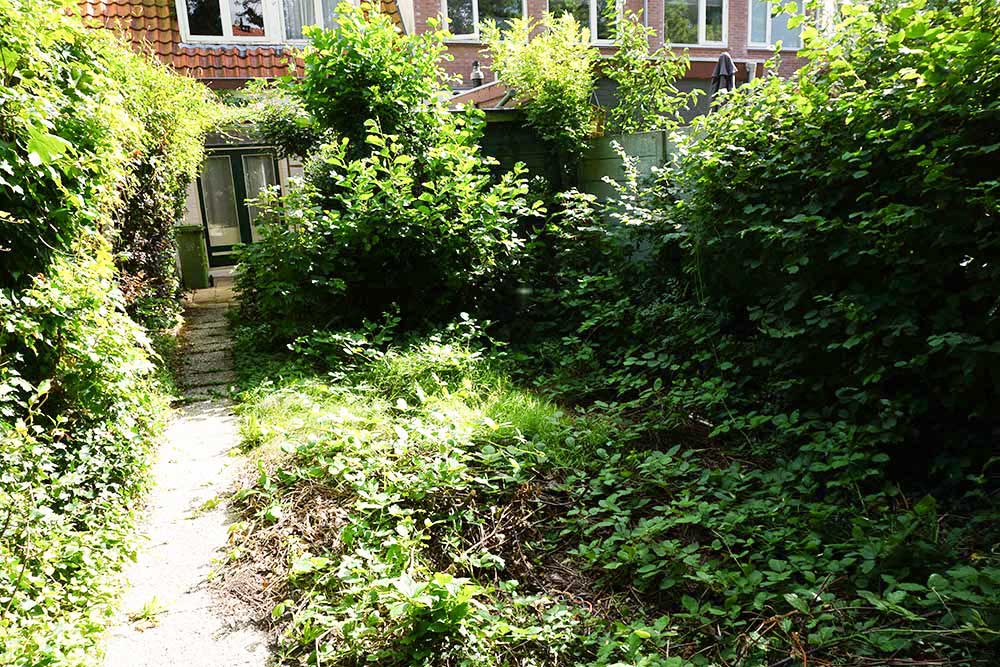 Foto 27 van Gladiolenstraat 6