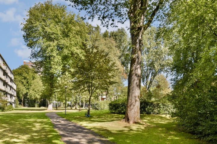 Foto 19 van Het Hoogt 182