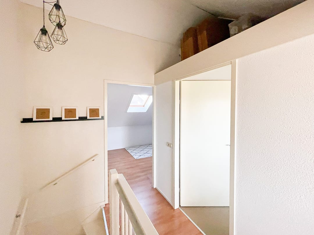 Foto 32 van Snaveldolfijn 6