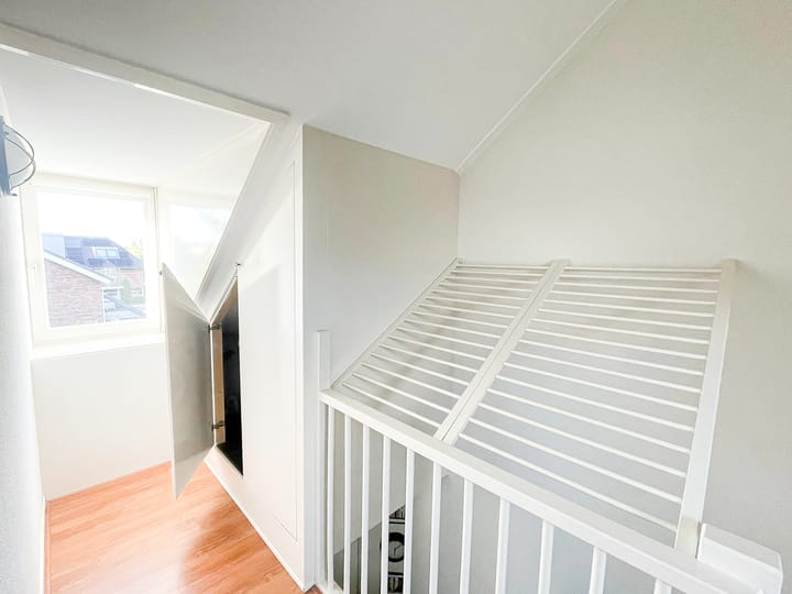 Foto 33 van Snaveldolfijn 6