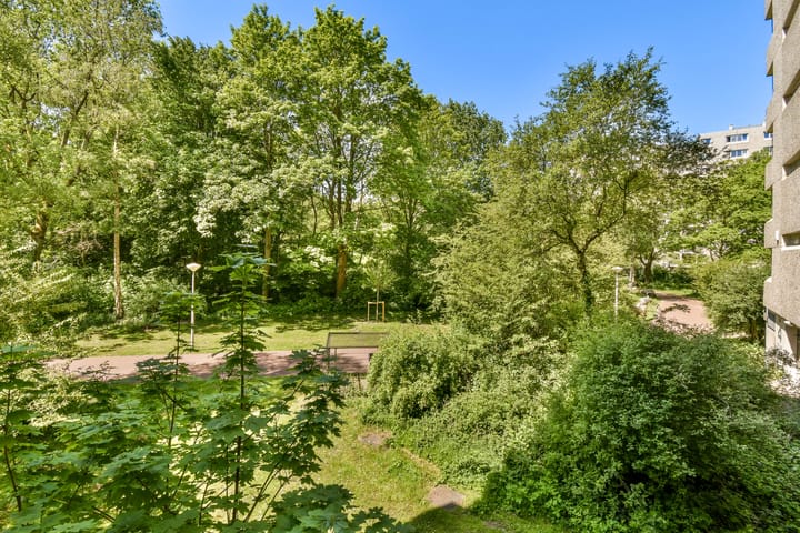 Foto 12 van Gouden Leeuw 308