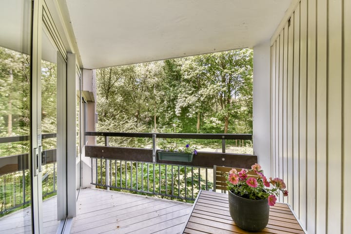 Foto 18 van Gouden Leeuw 308