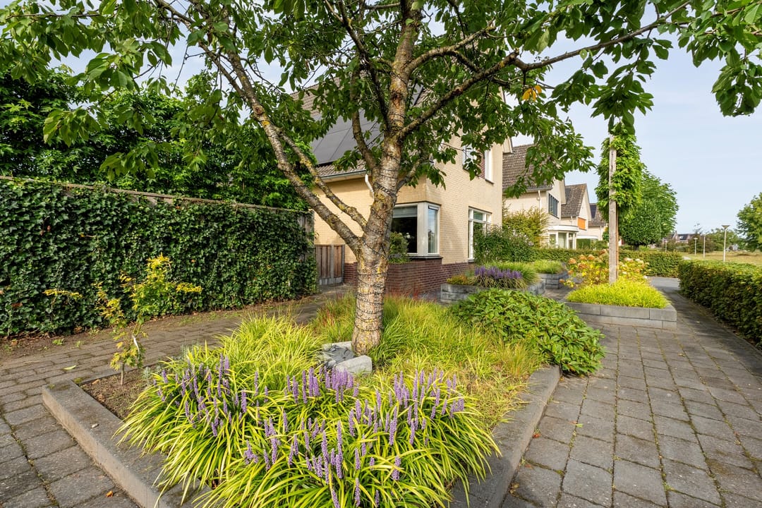 Foto 46 van Boesemeer 46