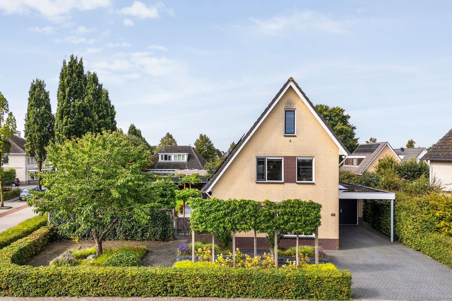 Foto 50 van Boesemeer 46