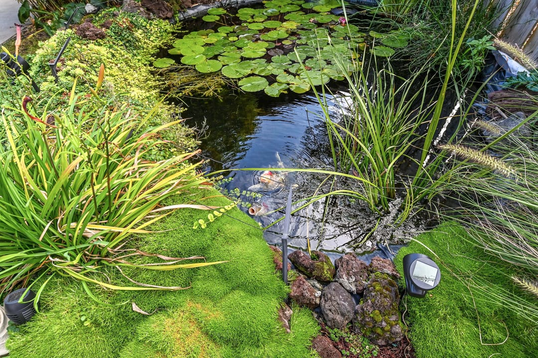 Foto 31 van Maarsbergenstraat 38