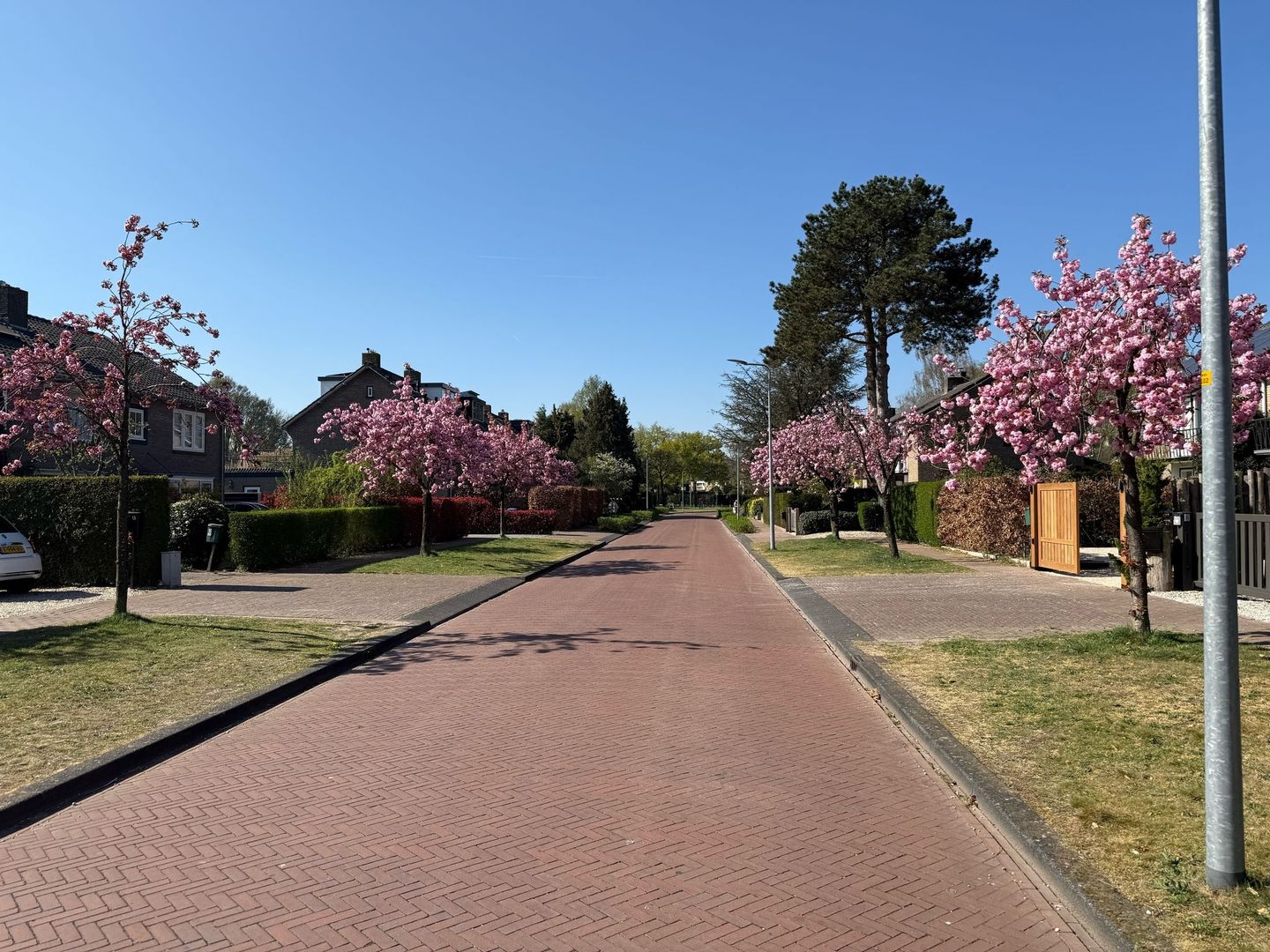 Foto 34 van Graafland 12