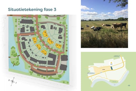 Holstein-Friesian 26 tertiary image