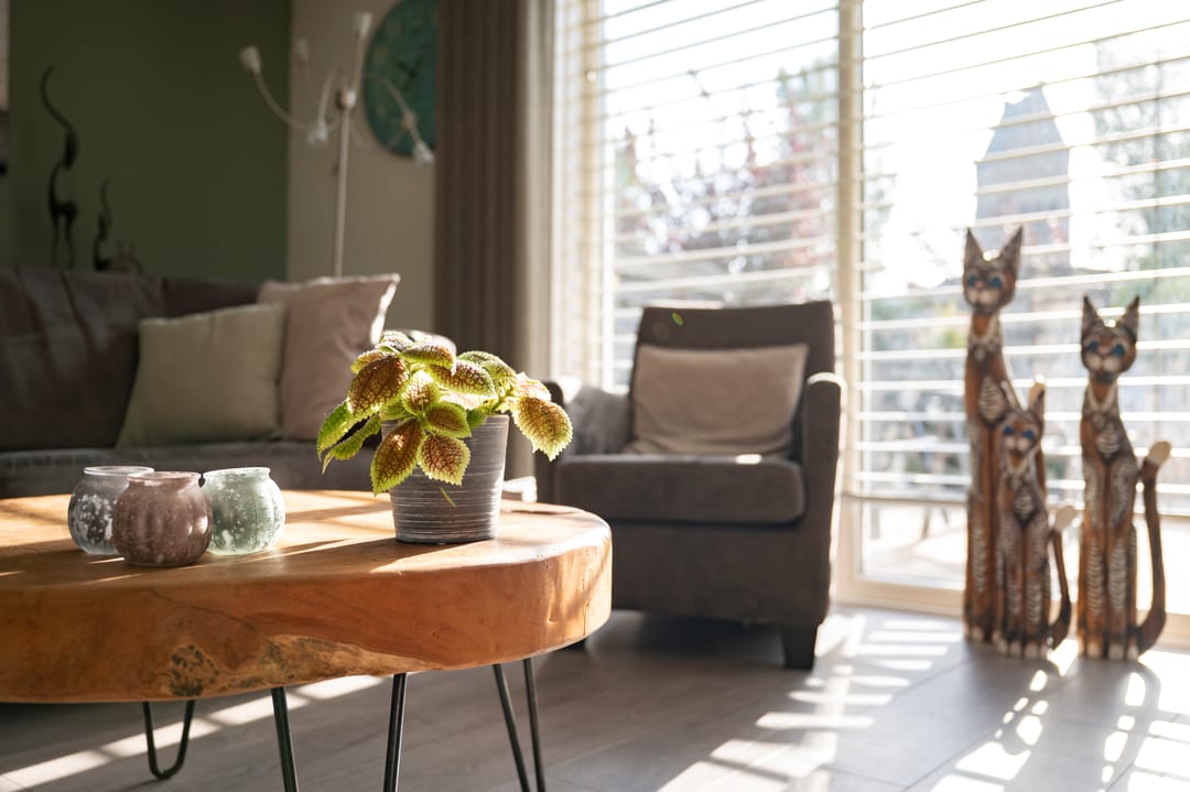 Foto 16 van Pottenbakkersstraat 8